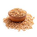 Whole Wheat